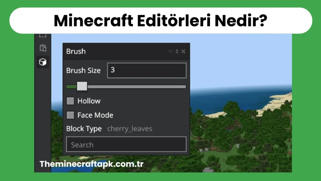 Minecraft Editörleri Nedir?